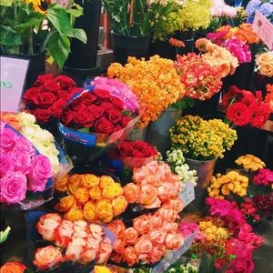 Meet your Posher, Victoria